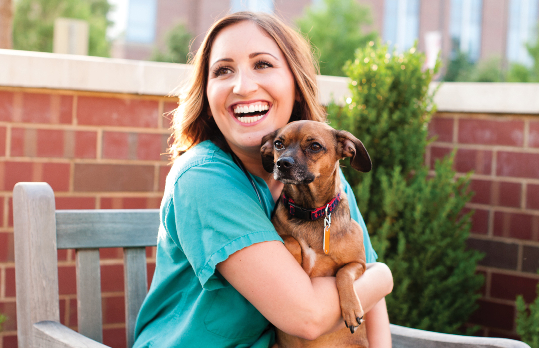 An Interview with Dr. Lauren Adelman, Veterinarian at NC State University Image