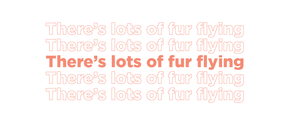 the-10-worst-office-jargon-phrases-career-contessa