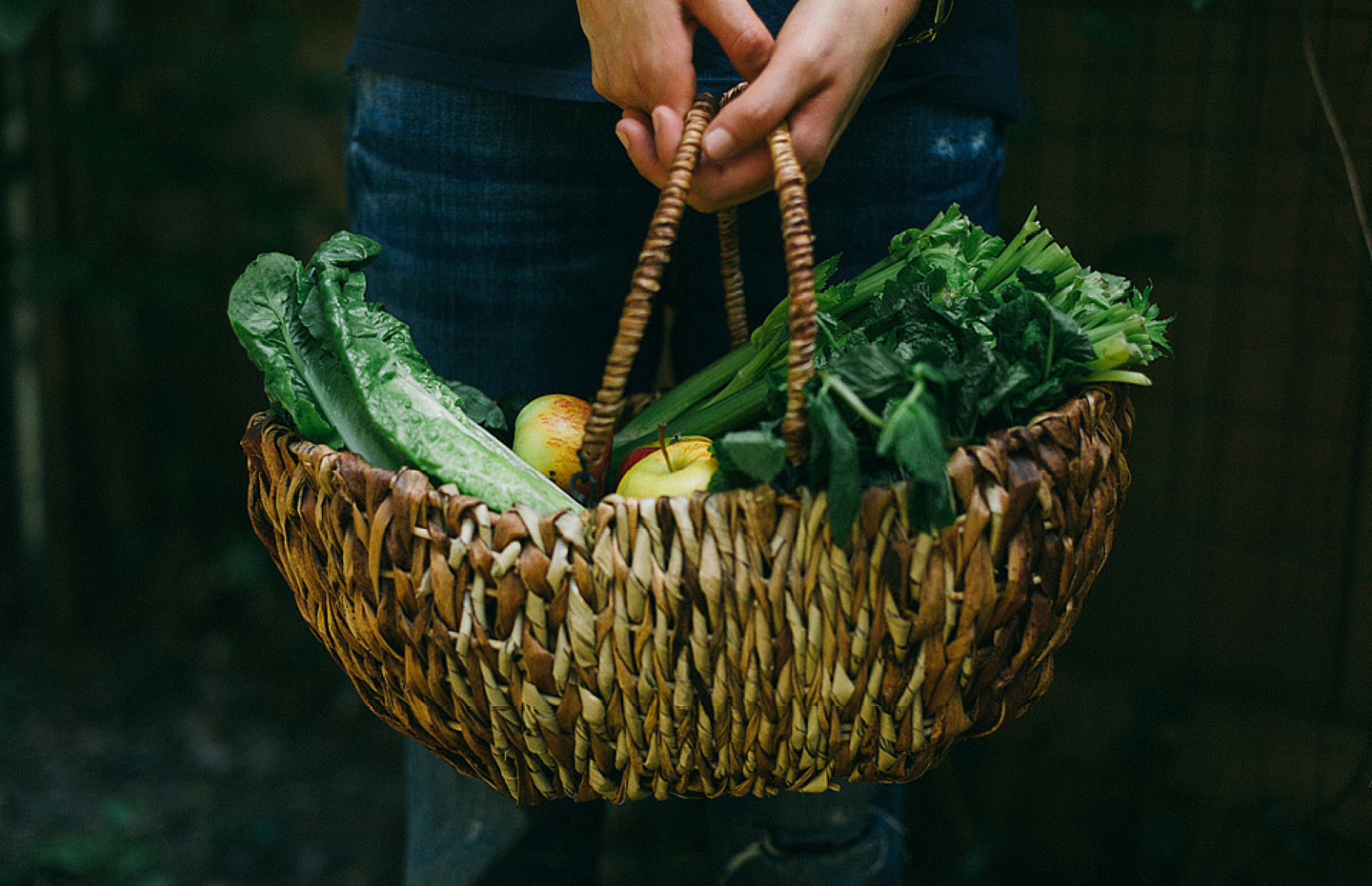Fueling Your Body With Proper Nutrition—Career Contessa